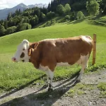 Brandebengut Bad Hofgastein