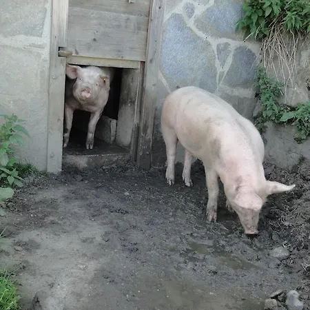 Brandebengut Bad Hofgastein
