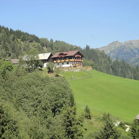 Brandebengut