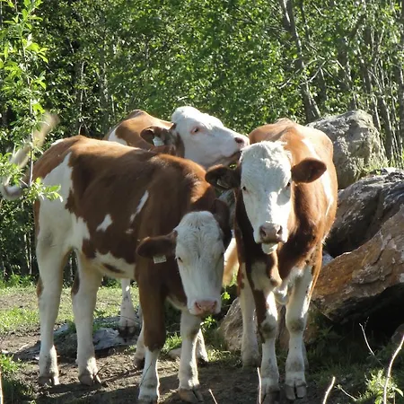 Brandebengut Bad Hofgastein