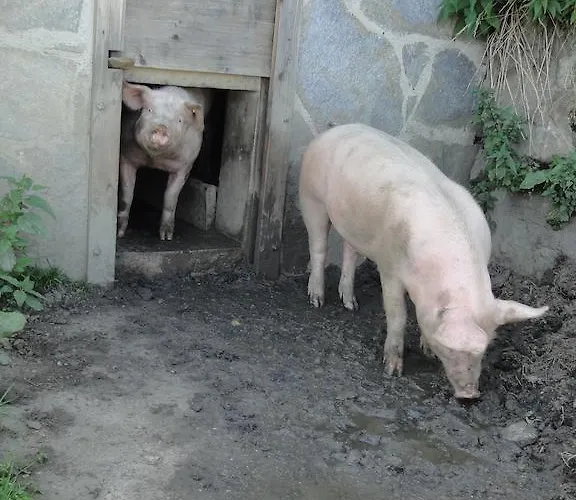 Brandebengut Bad Hofgastein