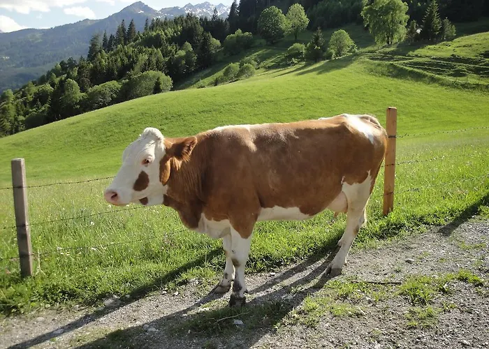 Brandebengut Bad Hofgastein
